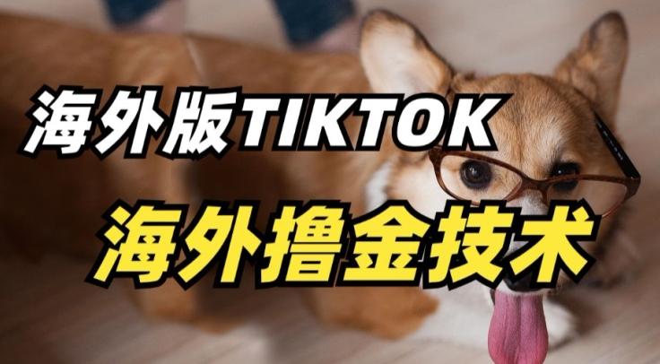 抖音海外版tiktok撸金技术，这个风口行业，赚钱真的不难【揭秘】-test