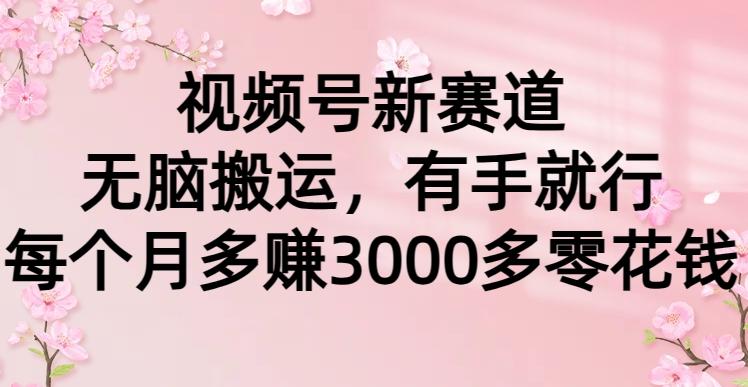(9278期)视频号新赛道，无脑搬运，有手就行，每个月多赚3000多零花钱-test