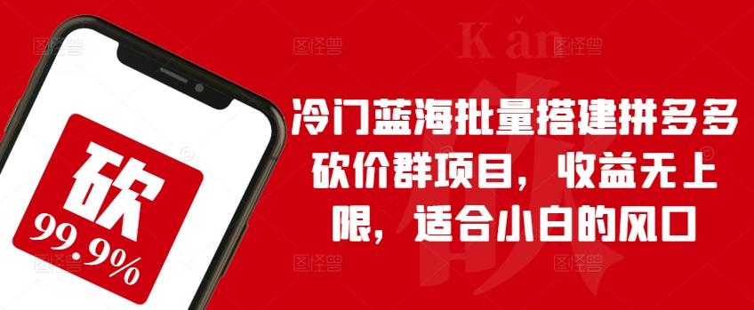 冷门蓝海批量搭建拼多多砍价群项目，收益无上限，适合小白的风口【揭秘】-test