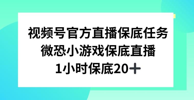 视频号直播任务，微恐小游戏，1小时20+【揭秘】-test