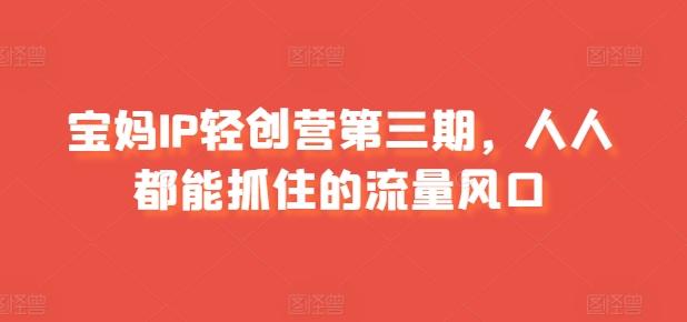 宝妈IP轻创营第三期，人人都能抓住的流量风口-test