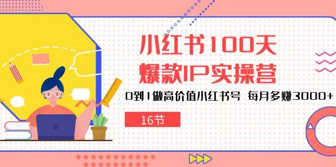 小红书100天-爆款IP实操营，0到1做高价值小红书号 每月多赚3000+(16节-test