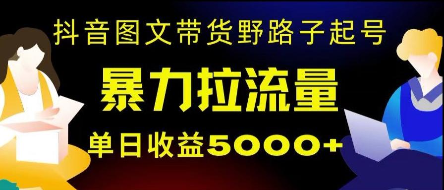 抖音图文带货暴力起号，单日收益5000+，野路子玩法，简单易上手，一部手机即可【揭秘】-test