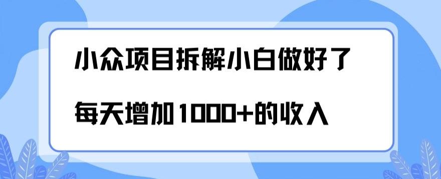 小众项目拆解，小白做好了每天可增加1000多的收入-test