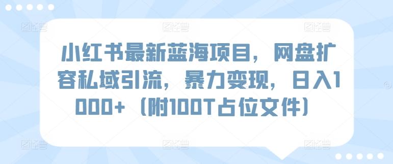 小红书最新蓝海项目，网盘扩容私域引流，暴力变现，日入1000+(附100T占位文件)【揭秘】-test