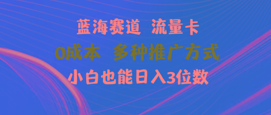 蓝海赛道 流量卡 0成本 小白也能日入三位数-test