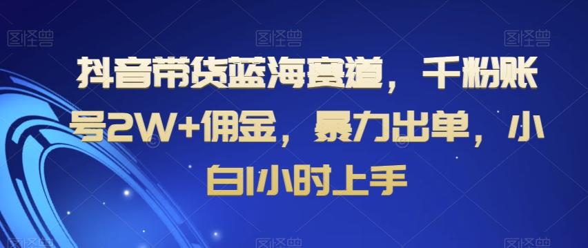 抖音带货蓝海赛道，千粉账号2W+佣金，暴力出单，小白1小时上手【揭秘】-test