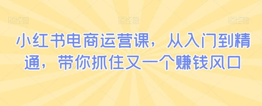 小红书电商运营课，从入门到精通，带你抓住又一个赚钱风口-test