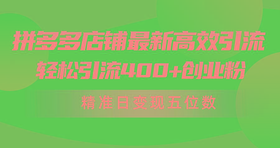 (10041期)拼多多店铺最新高效引流术，轻松引流400+创业粉，精准日变现五位数！-test