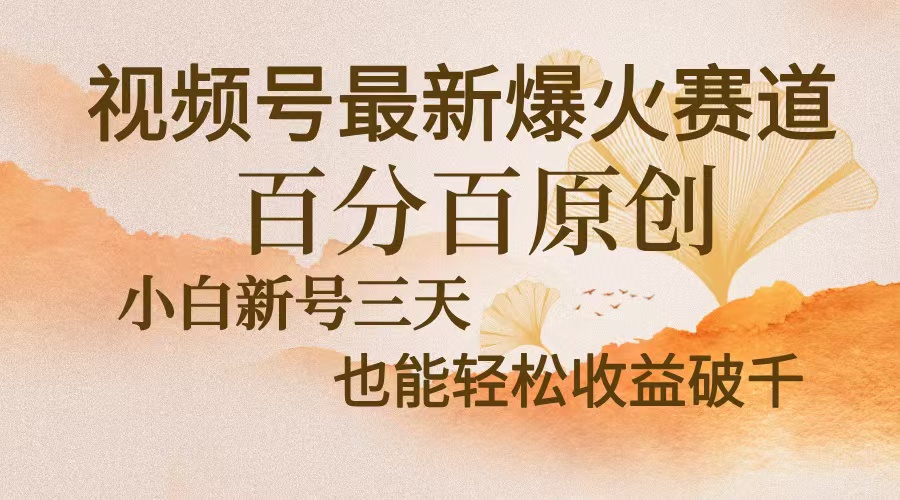视频号最新爆火赛道，中老年粉深信不疑，百分百原创，新号三天收益轻松…-test