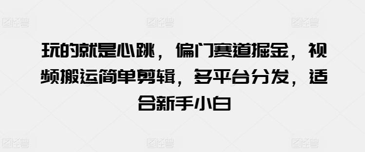 玩的就是心跳，偏门赛道掘金，视频搬运简单剪辑，多平台分发，适合新手小白【揭秘】-test