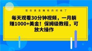 每天观看30分钟视频，一月躺赚1000+美金！保姆级教程，可放大操作【揭秘】-test