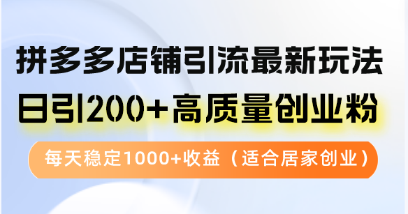 拼多多店铺引流最新玩法，日引200+高质量创业粉，每天稳定1000+收益(…-test