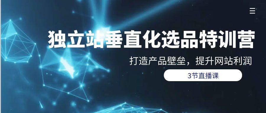 (9925期)独立站-垂直化选品训练营，打造产品壁垒，提升网站利润(3节直播课)-test