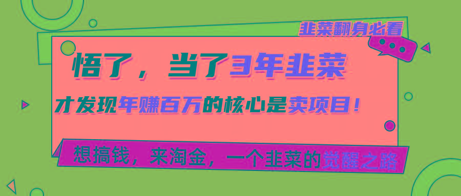 悟了，当了3年韭菜，才发现网赚圈年赚100万的核心是卖项目，含泪分享！-test