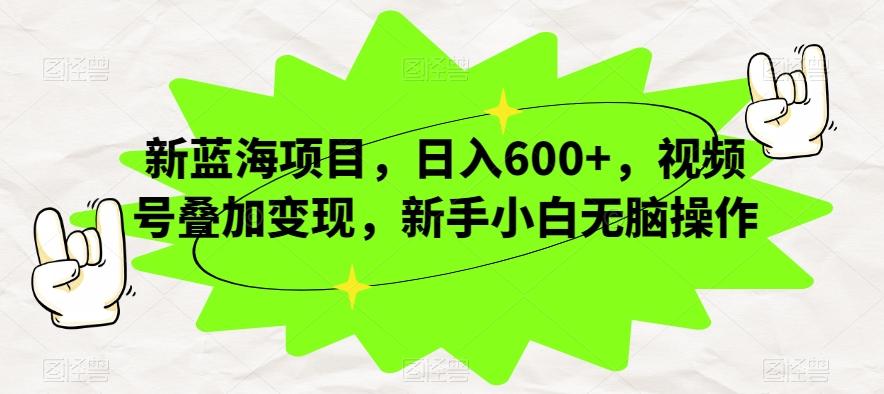 新蓝海项目，日入600+，视频号叠加变现，新手小白无脑操作【揭秘】-test