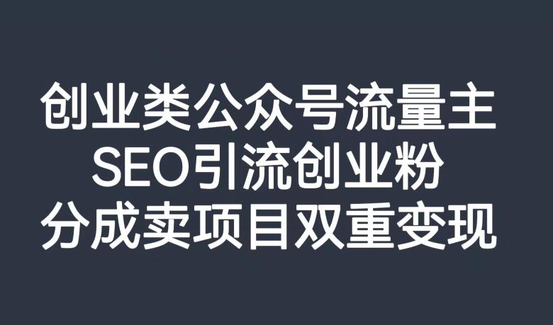 创业类公众号流量主，SEO引流创业粉，分成卖项目双重变现【揭秘】-test