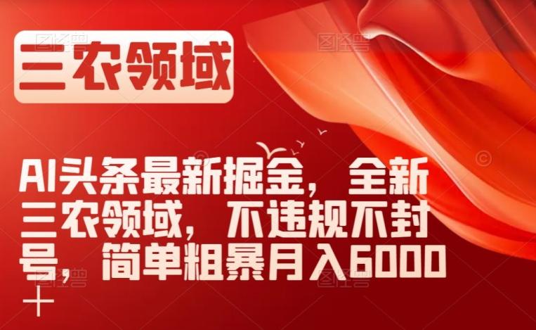AI头条最新掘金，全新三农领域，不违规不封号，简单粗暴月入6000＋【揭秘】-test