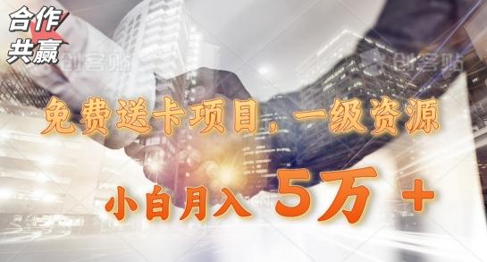 免费送卡项目，一级资源，小白月入5万+-test