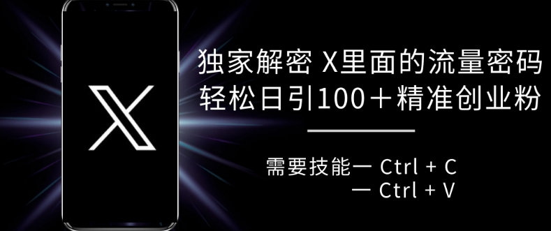 独家解密 X 里面的流量密码，复制粘贴轻松日引100+-test