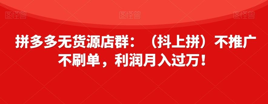 拼多多无货源店群：（抖上拼）不推广不刷单，利润月入过万！【揭秘】-test