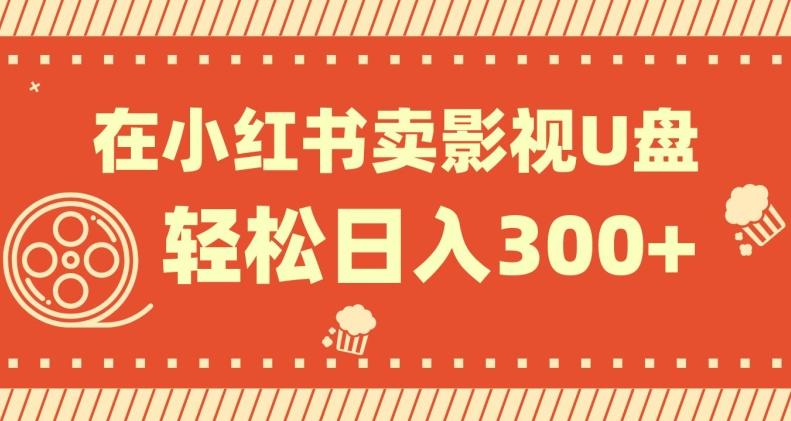 在小红书上卖影视U盘，轻松日入300+，操作简单，小白可轻松上手-test