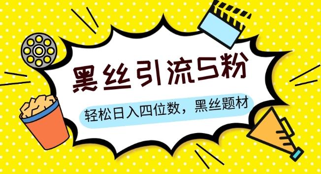 S粉变现，轻松日入四位数，黑丝题材+情感话术【揭秘】-test