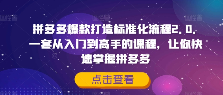 拼多多爆款打造标准化流程2.0，一套从入门到高手的课程，让你快速掌握拼多多-test