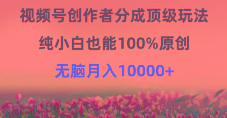 (9608期)视频号创作者分成顶级玩法，纯小白也能100%原创，无脑月入10000+-test