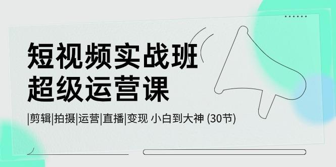 短视频实战班超级运营课 |剪辑|拍摄|运营|直播|变现 小白到大神 (30节)-test