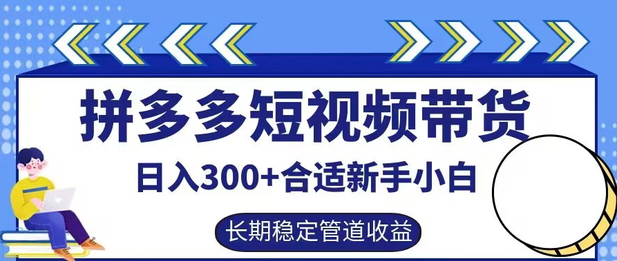 拼多多短视频带货日入300+有长期稳定被动收益，合适新手小白【揭秘】-test