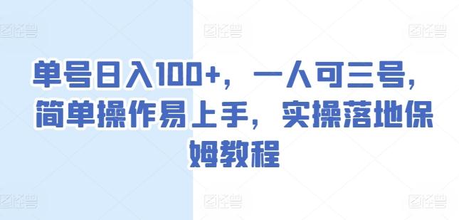 单号日入100+，一人可三号，简单操作易上手，实操落地保姆教程【揭秘】-test
