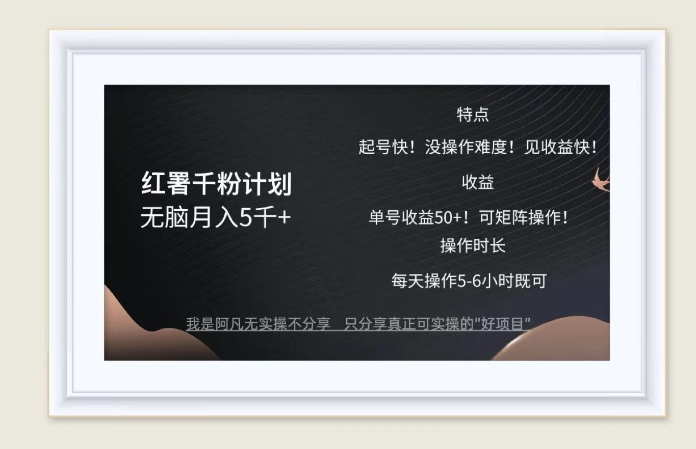 红薯千粉计划无脑月入5千+！既做既赚！-test
