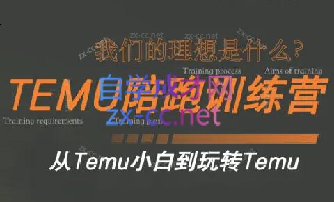 苗苗·拼多多跨境（temu）课程-test