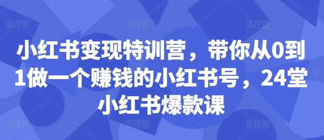 小红书变现特训营，带你从0到1做一个赚钱的小红书号，24堂小红书爆款课-test