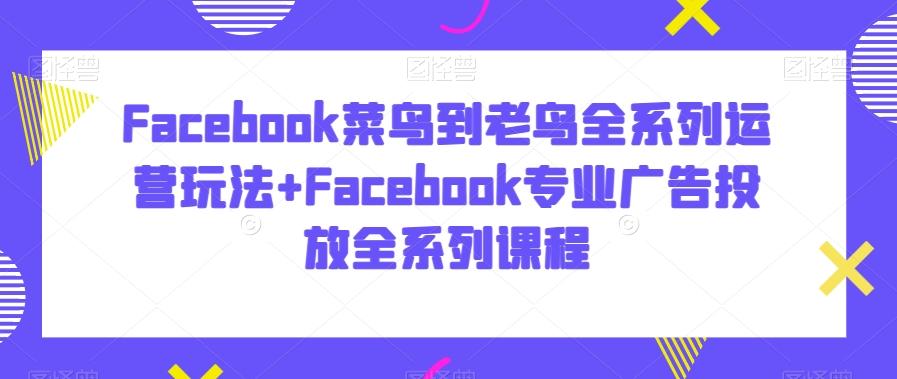 Facebook菜鸟到老鸟全系列运营玩法+Facebook专业广告投放全系列课程-test