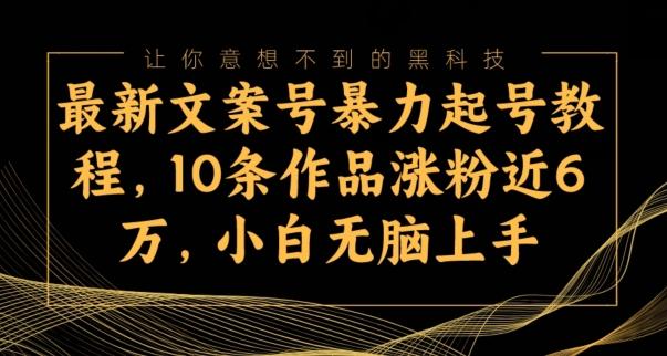 最新文案号暴力起号教程，10条作品涨粉近6万，小白无脑上手-test