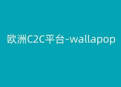 欧洲C2C平台-wallapop-kim跨境电商教程-test