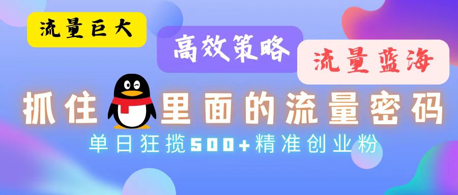 流量蓝海，抓住QQ里面的流量密码！高效策略，单日狂揽500+精准创业粉-test
