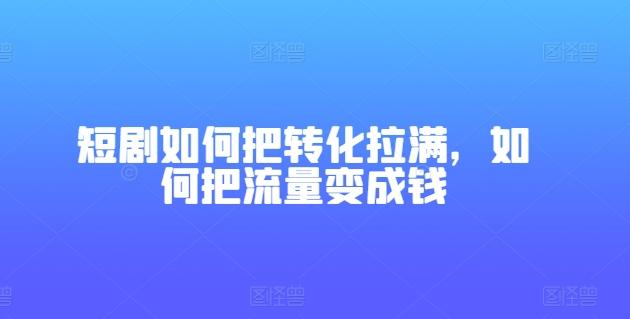 短剧如何把转化拉满，如何把流量变成钱-test