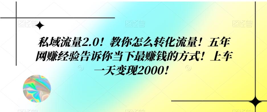 私域流量2.0！教你怎么转化流量！五年网赚经验告诉你当下最赚钱的方式！上车一天变现2000！-test