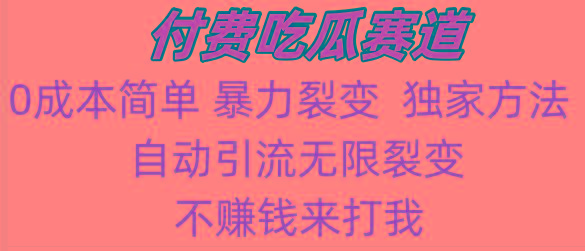 吃瓜付费赛道，暴力无限裂变，0成本，实测日入700+！！！-test