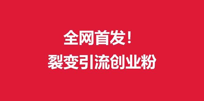 (全网首发)外面收费几千的裂变引流高质量创业粉-test