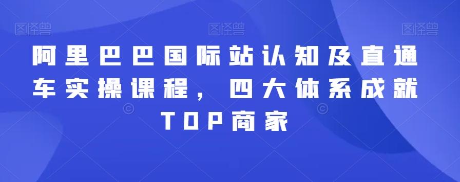 阿里巴巴国际站认知及直通车实操课程，四大体系成就TOP商家-test
