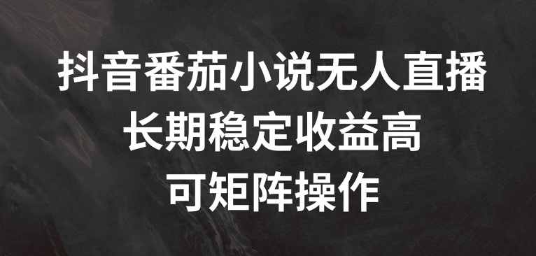 抖音番茄小说无人直播，长期稳定收益高，可矩阵操作【揭秘】-test