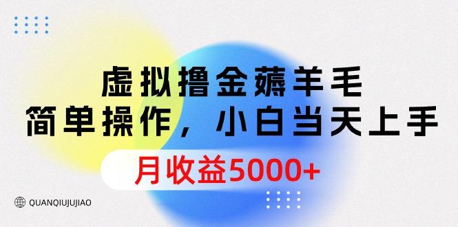 (9864期)虚拟撸金薅羊毛，简单操作，小白当天上手，月收益5000+-test