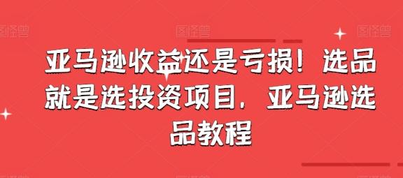 亚马逊收益还是亏损！选品就是选投资项目，亚马逊选品教程-test