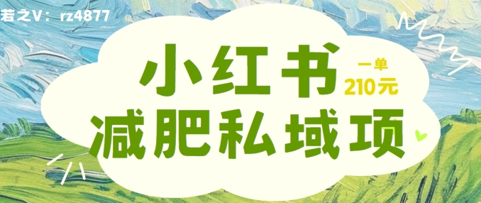 小红书减肥粉，私域变现项目，一单就达210元，小白也能轻松上手【揭秘】-test