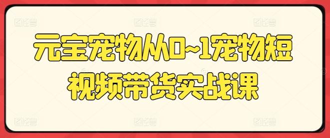 元宝宠物从0~1宠物短视频带货实战课-test