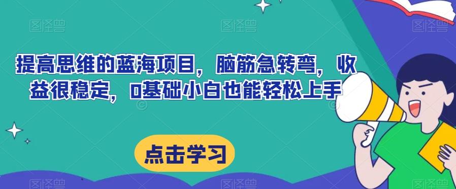 提高思维的蓝海项目，脑筋急转弯，收益很稳定，0基础小白也能轻松上手-test